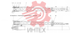 Гусек 10131948