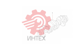 Вал коленчатый 60289521