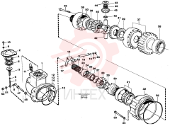 Differential pinion set