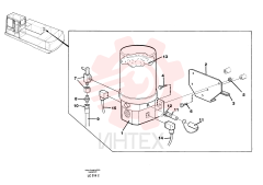 Ferrule