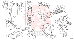 Прокладка ZM 2903605 (3)