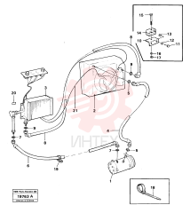 Strip Clamp