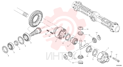 Differential pinion set