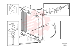 Flange Lock Nut