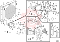 Radiator hose