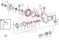 Differential carrier