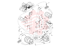 Hose assembly