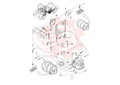 Hose assembly