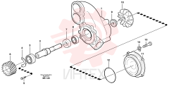 Coolant Pump