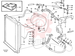 Ferrule