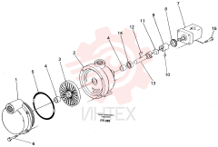 Filling Pump