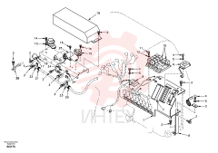 Flange screw