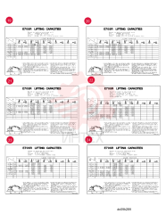 LABEL LIFTING CAPACITY YT20T01258P1 (1)