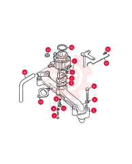 CARBURETOR 507589 (4)