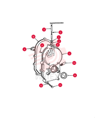 CASE 507116 (2)