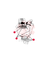 FILTER STRAINER 71845 (1)