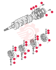 SUMP 503036