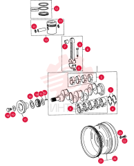 KIT 505267
