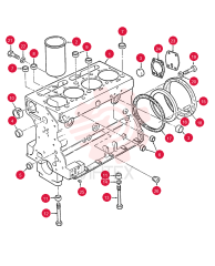 SHORT ENGINE 505459