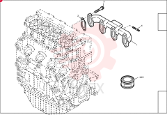 EXHAUST MANIFOLD 2984919