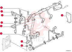 WIRE HARNESS 2854598