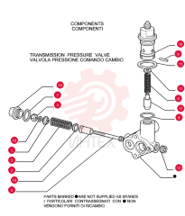 LOCK NUT 581593