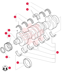 CRANKSHAFT 76191568