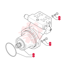 HYDRAULIC MOTOR