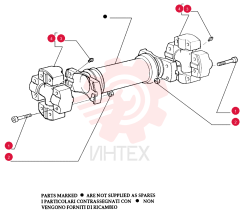 BOLT,Hex, M10 x 1.25 x 55mm, Cl 8.8