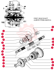 THRUST PLATE 581371 (1)