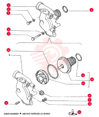 WATER PUMP 99446891
