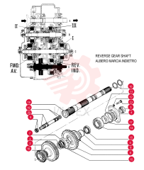 THRUST PLATE 581371 (3)