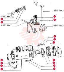 STARTER MOTOR