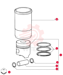 PISTON ASSY 61318794