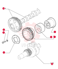 DRIVEN GEAR 61316289