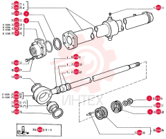 NUT 8281824 (1)