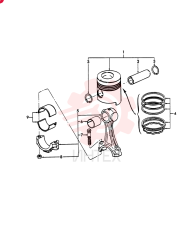 PISTON & RINGS KIT