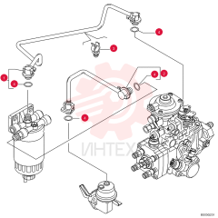 TUBE 2852549