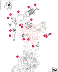 HOSE PA11P01020P1
