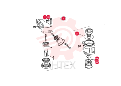 HYDRAULIC MOTOR