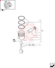 PISTON & RINGS KIT