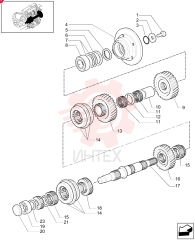 BOLT