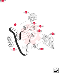 V-BELT,1710.00 mm L, 8 Ribs