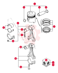 PISTON & RINGS KIT