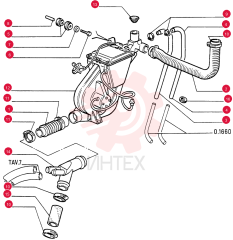 FLEXIBLE HOSE