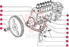 NUT 75208933