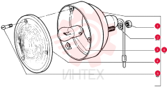THIN NUT,Thin, M6  x 1, Cl 04