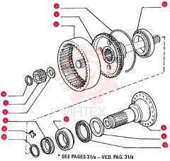 PLANETARY GEAR 79088389 (2)
