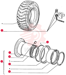 RIM