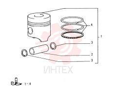 PISTON & RINGS KIT